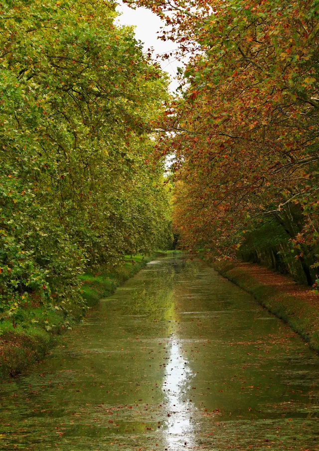 Argent-sur-Sauldre, Canal｜C. Bordier, 2023