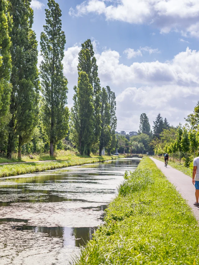 Ville de Saint-Amand-Montrond, Canal du Berry|Anthony Perrot
