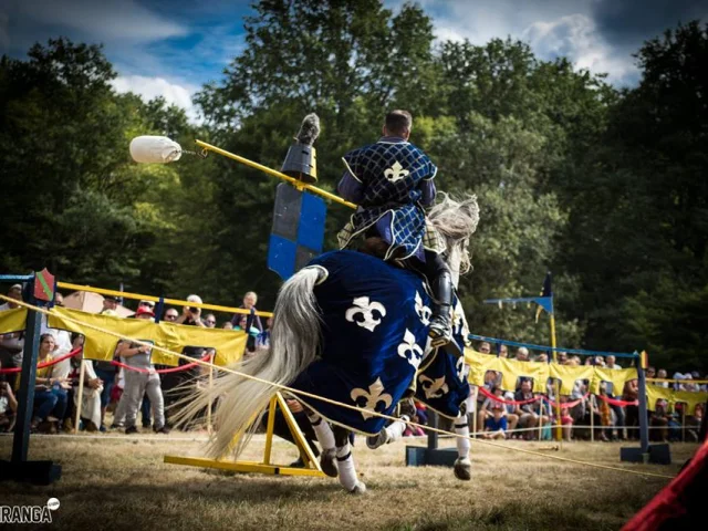 Chateau De La Chapelle Dangillon Fetes Medievales｜piranga 1