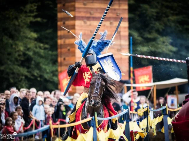 Chateau De La Chapelle Dangillon Fetes Medievales｜piranga