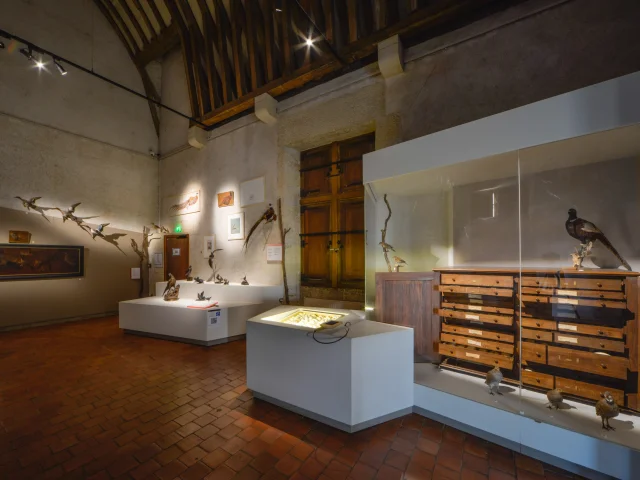 Château-Musée de Gien｜Route Jacques Cœur