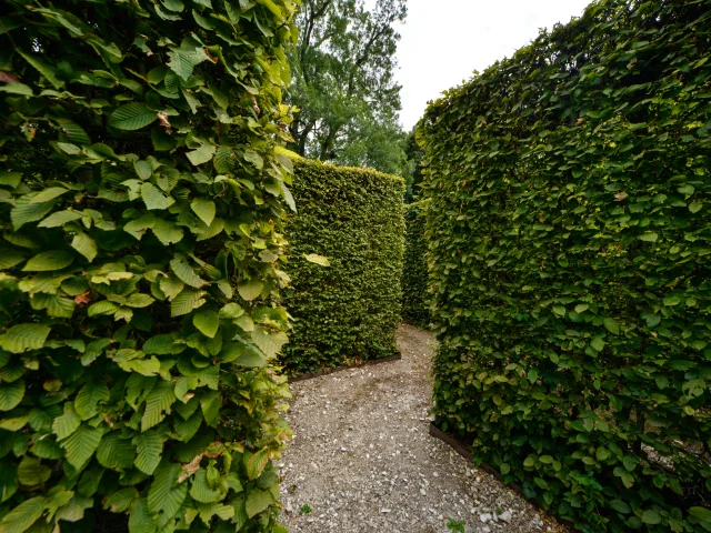 Parc et château de Pesselières｜Route Jacques Cœur