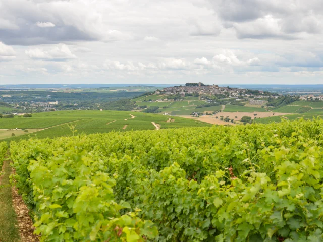 Sancerre｜Route Jacques Cœur