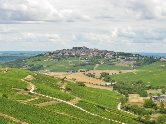 Sancerre｜Route Jacques Cœur