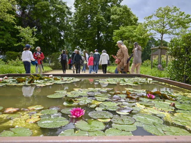 Abbaye de Noirlac, Jardins en Fête｜Thierry Martrou, 2024