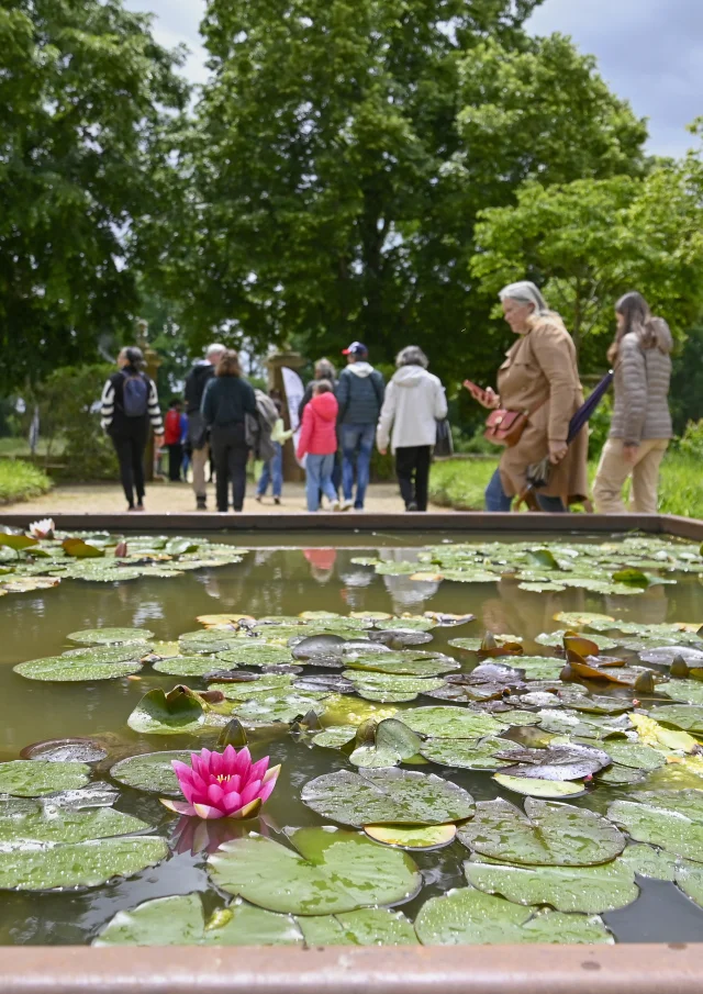 Abbaye de Noirlac, Jardins en Fête｜Thierry Martrou, 2024