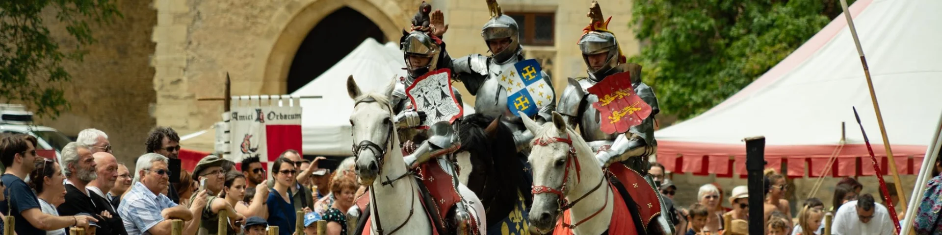 Château de Sagonne, Middeleeuwse feesten｜Jonas-Graphiste.com