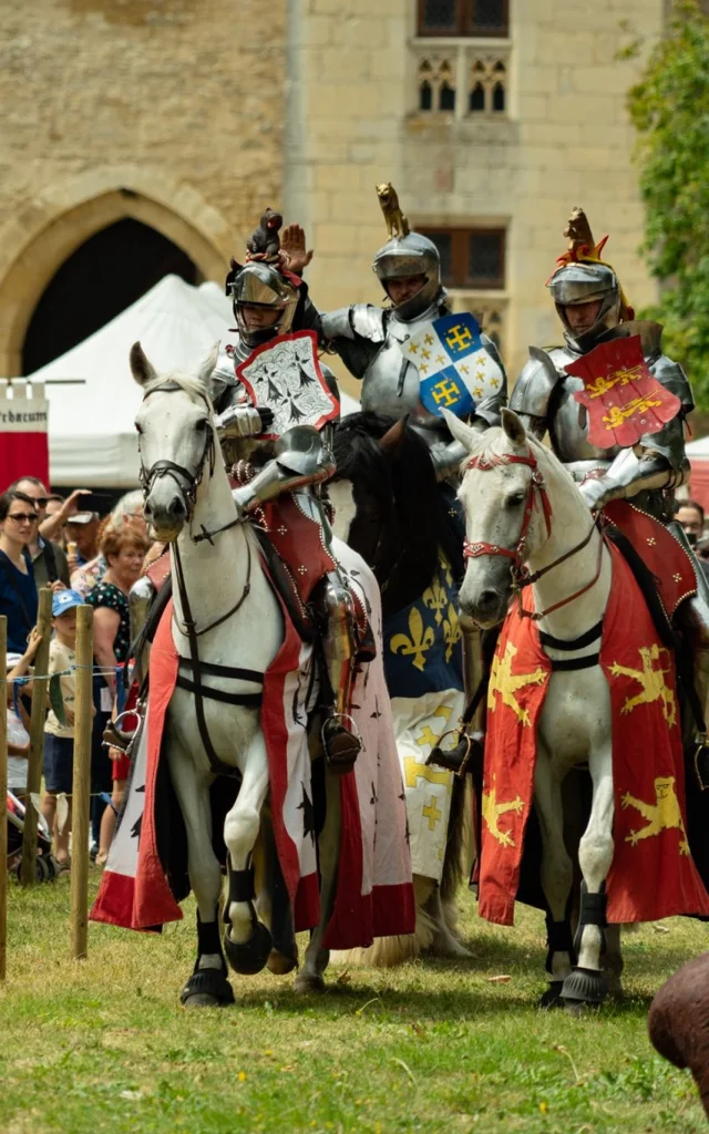 Château de Sagonne, Medieval Festivities｜Jonas-Graphiste.com