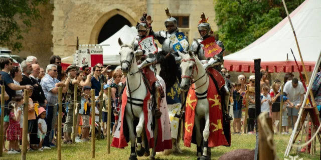 Château de Sagonne, Medieval Festivities｜Jonas-Graphiste.com