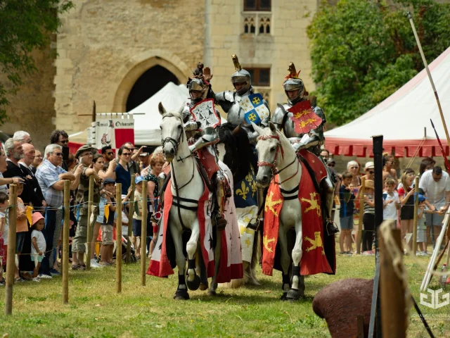 Château de Sagonne, Fêtes médiévales｜Jonas-Graphiste.com