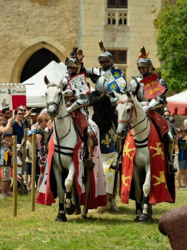 Château de Sagonne, Medieval Festivities｜Jonas-Graphiste.com
