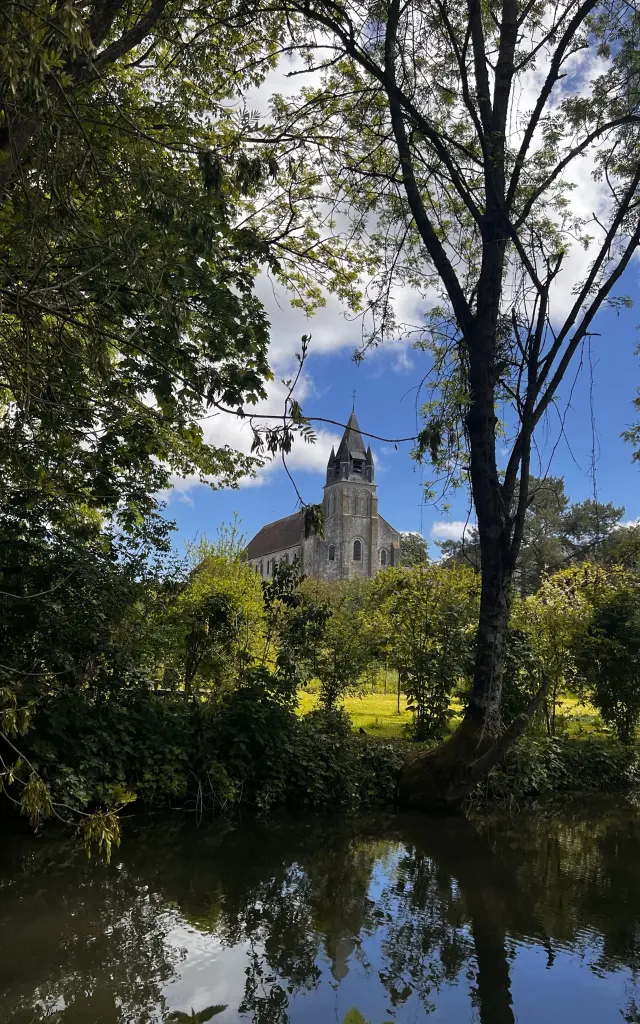 Mehun-sur-Yèvre, Vue collégiale Notre Dame｜VMSY