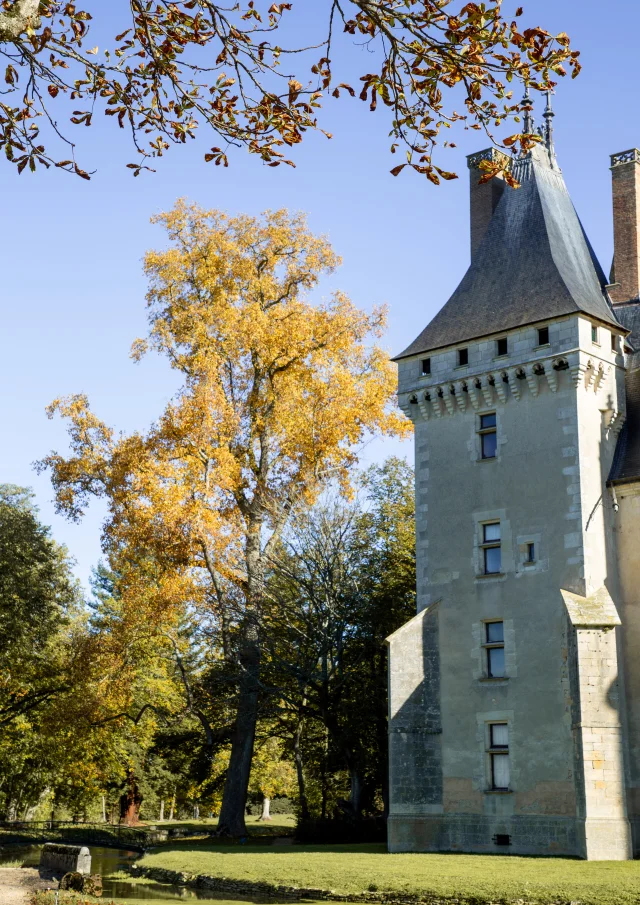 Château de Meillant｜Studio Province
