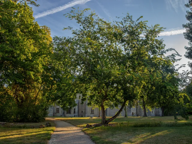 Château de Meillant｜Studio Province