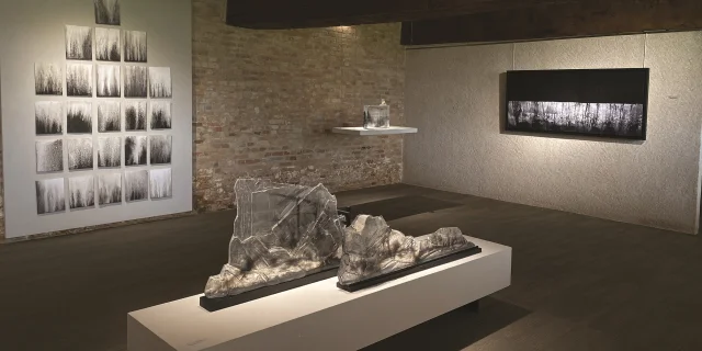 Galerie Capazza, Salle Galerie｜Galerie Capazza