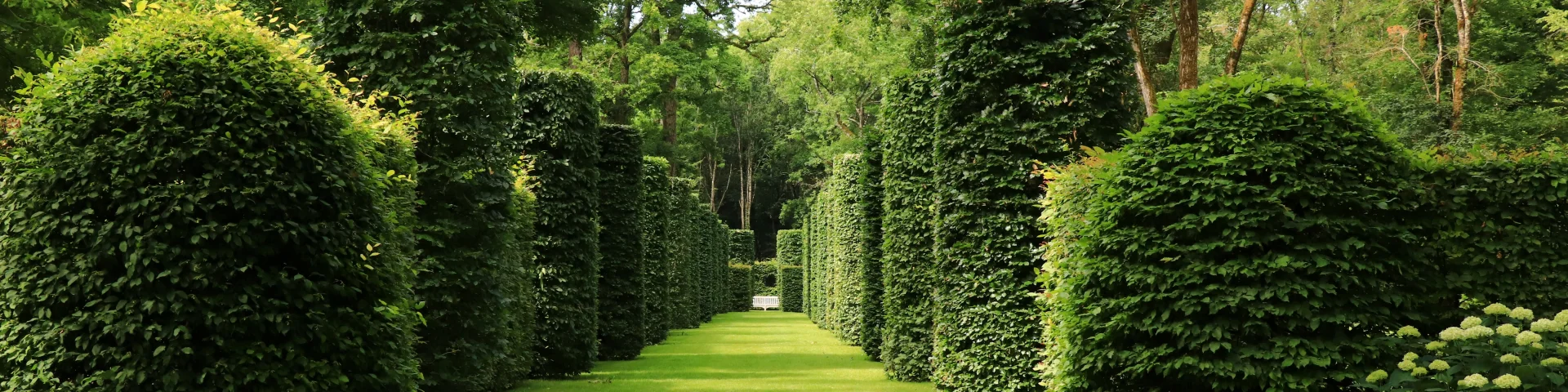 Château de Pesselieres｜Catherine Bordier
