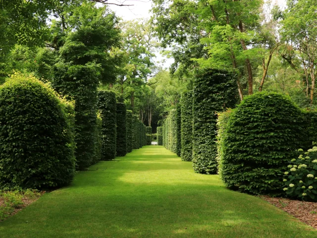 Château de Pesselieres｜Catherine Bordier