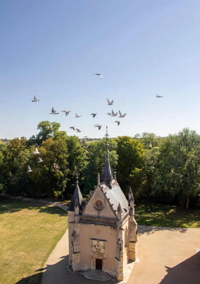 Château de Meillant｜Studio Province