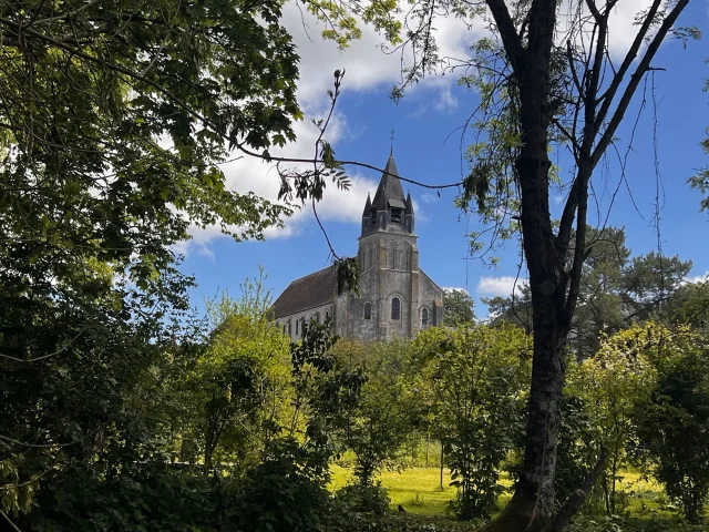 Mehun-sur-Yèvre, Vue collégiale Notre Dame｜VMSY