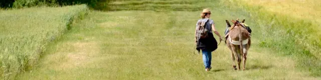 Ville de Dun-sur-Auron, balade avec des ânes｜Dun pas d'Âne