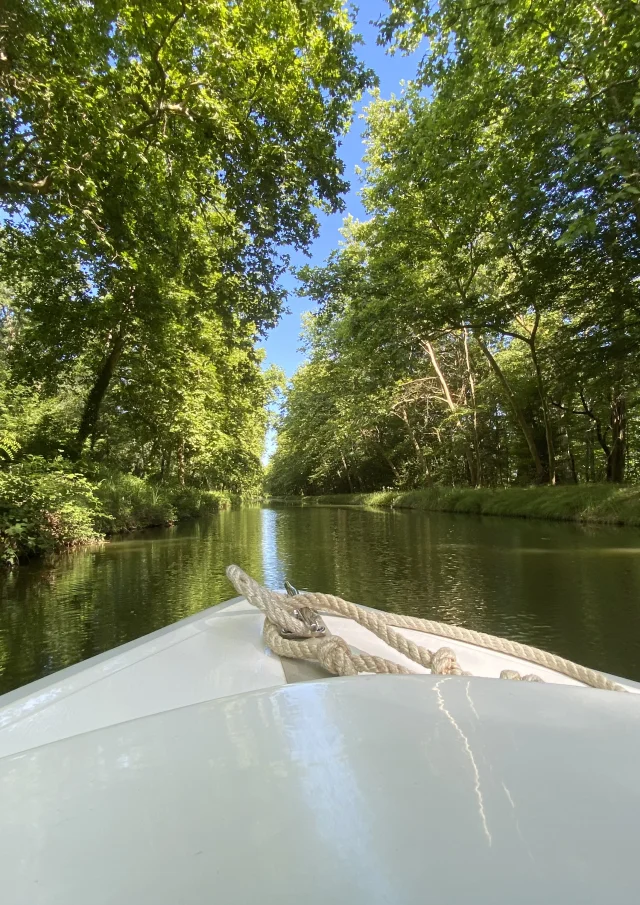 Ville d'Argent-sur-Sauldre, Canal de la Sauldre｜Catherine Bordier