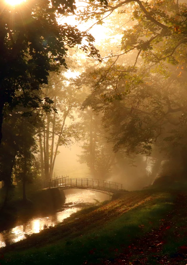 Ville d'Argent-sur-Sauldre, Canal de la Sauldre｜Catherine Bordier