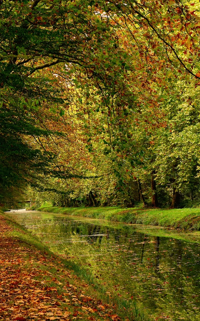 Stad Argent-sur-Sauldre, Kanaal van Sauldre/Catherine Bordier