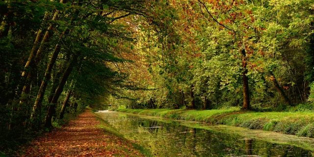 Stad Argent-sur-Sauldre, Kanaal van Sauldre/Catherine Bordier