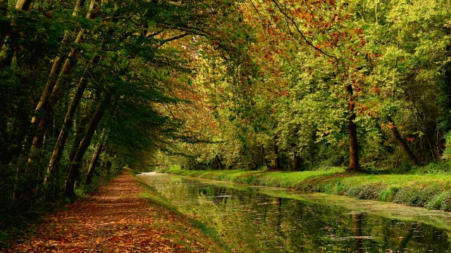 Stad Argent-sur-Sauldre, Kanaal van Sauldre/Catherine Bordier