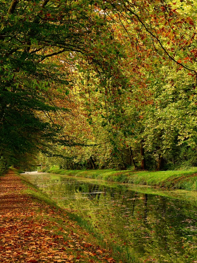 Stad Argent-sur-Sauldre, Kanaal van Sauldre/Catherine Bordier