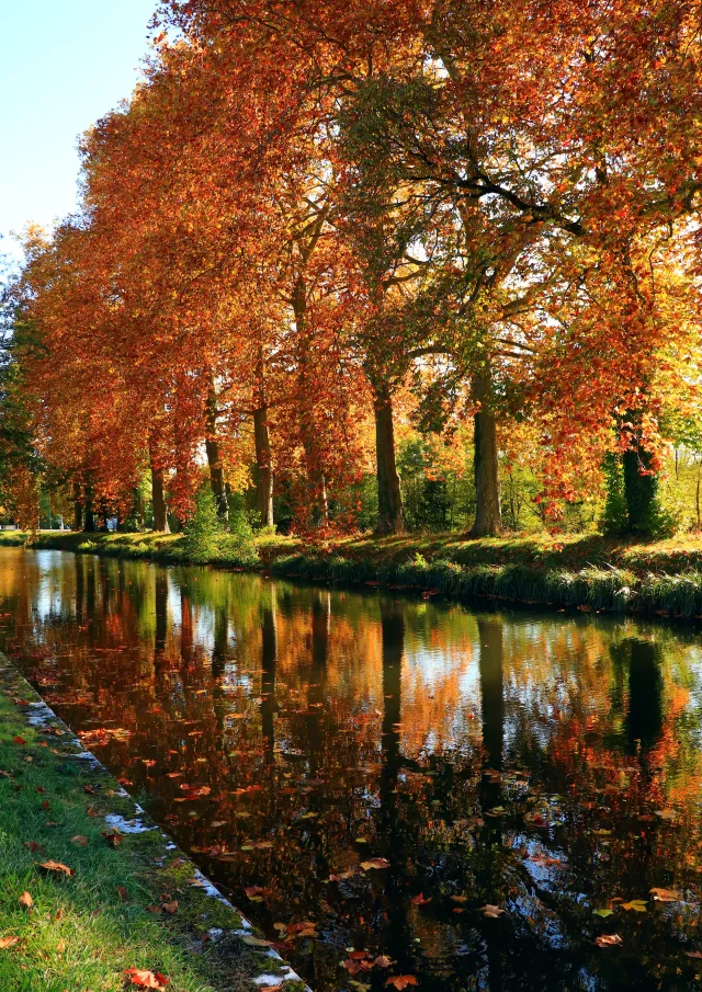 Ville d'Argent-sur-Sauldre, Canal de la Sauldre｜Catherine Bordier