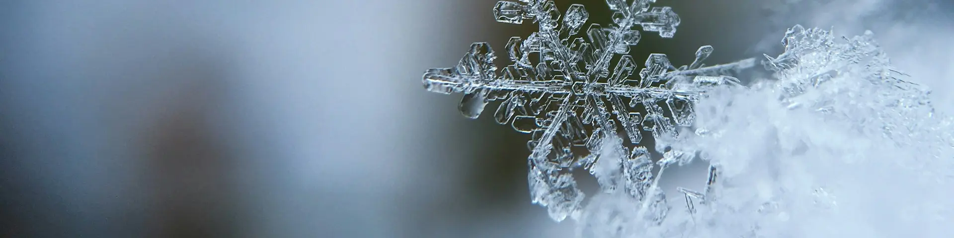 Tourisme Loir Cher Idees Decouvrir Hiver Autrement