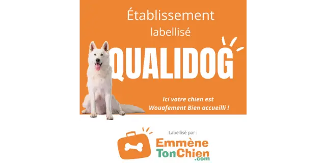 Logo Qualidog
