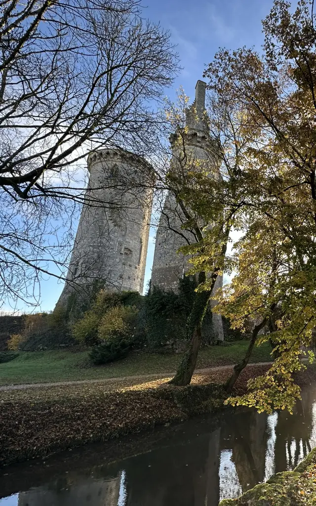 Ville de Mehun-sur-Yèvre|Ville de Mehun-sur-Yèvre