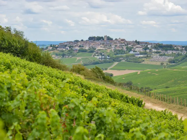 Le Departement Du Cher Au Printemps