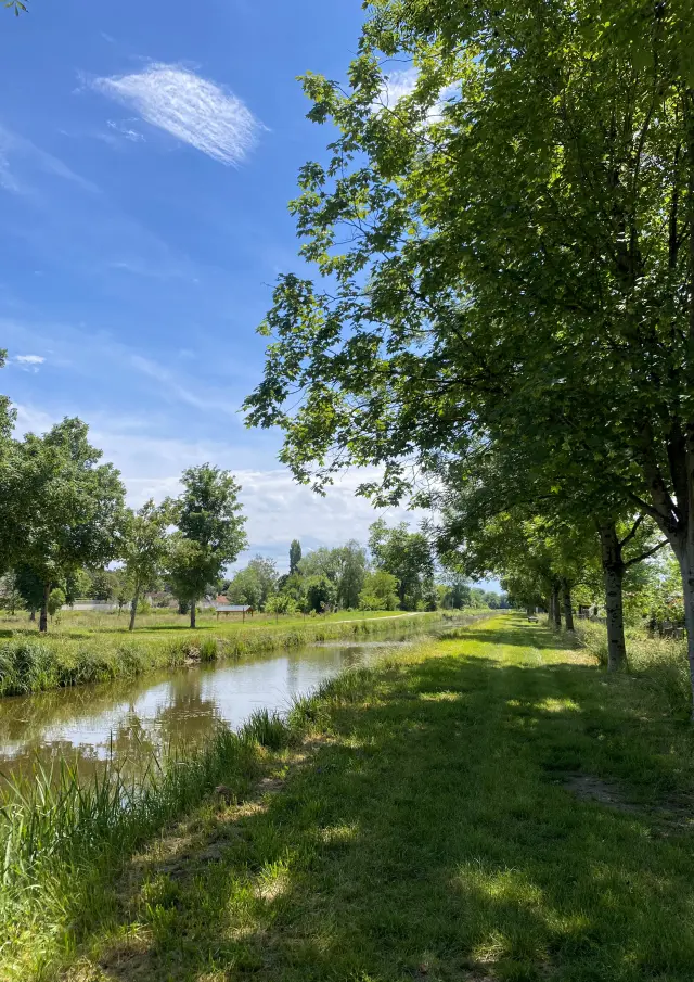 Ville de Dun-sur-Auron, Canal de Berry｜Rémy Burle