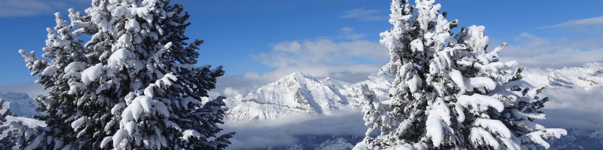 Offre Hôtels La Tzoumaz