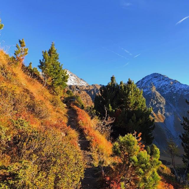 Instagram #tzoumazing