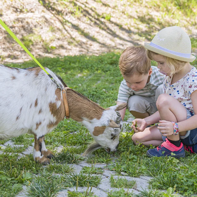 Activites Agrotouristiques Avec Enfants 28.07.2022 Fiorina 21