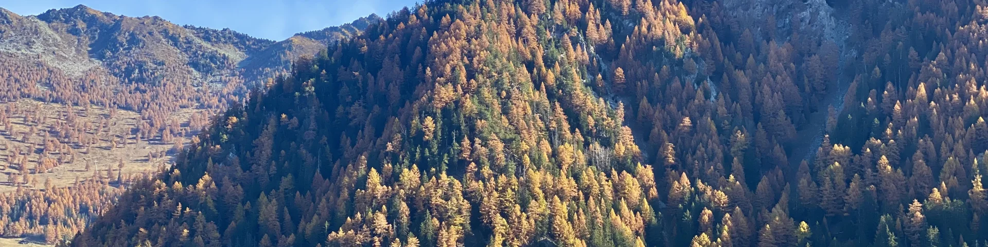 Image00053