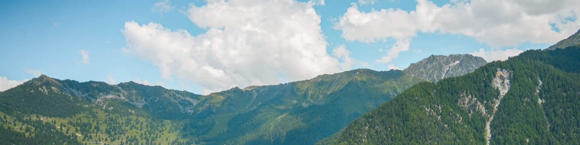 P. 3 4 5 Sommaire 9.07.2024@luciaharrison 279