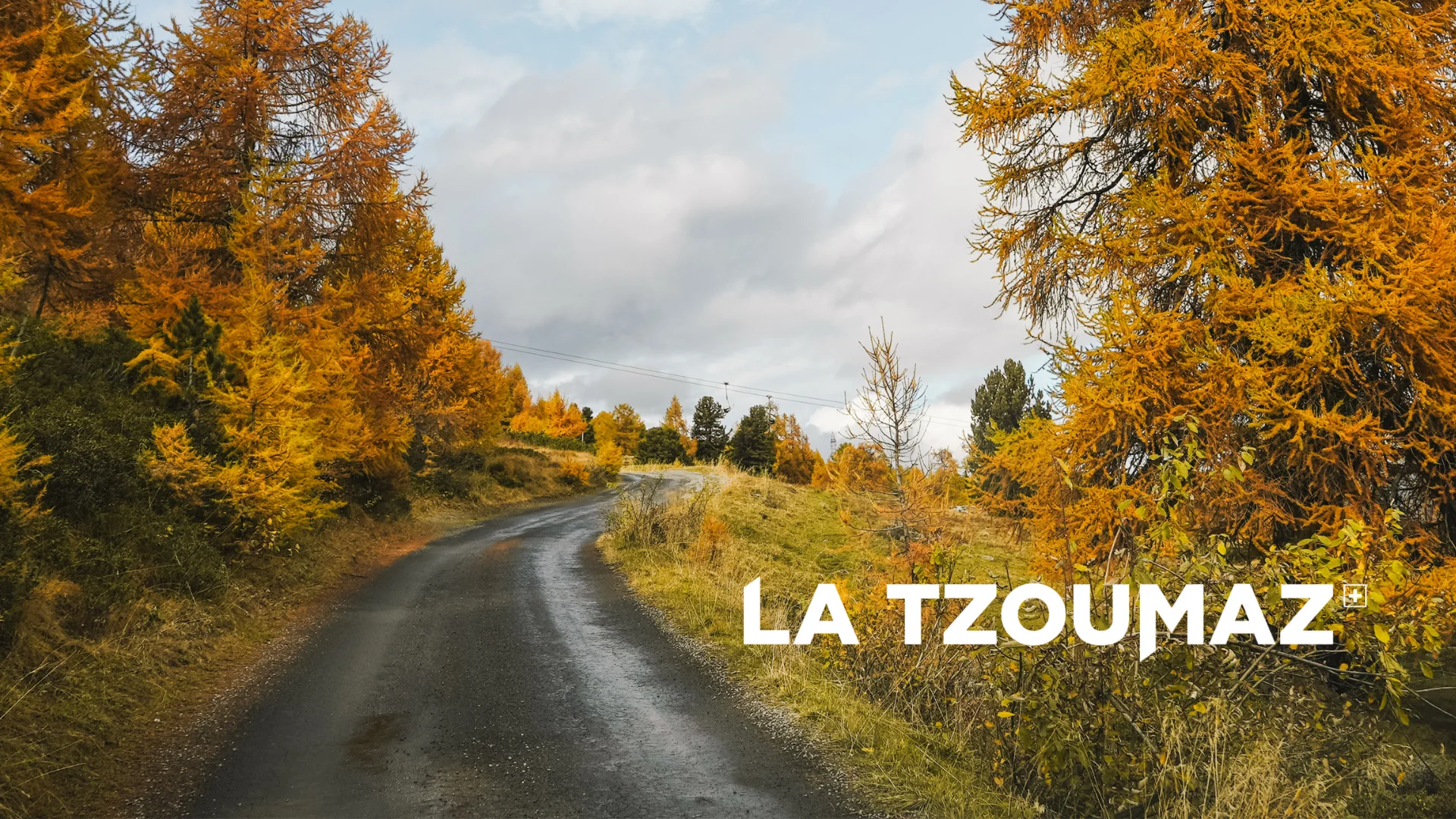Copie De Bande Newsletter 1