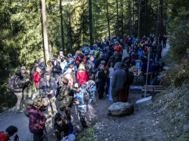 Passerelle @benoitgaillard 88