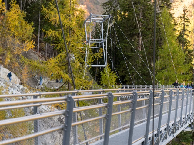 Passerelle Dzoras @jebprod 13