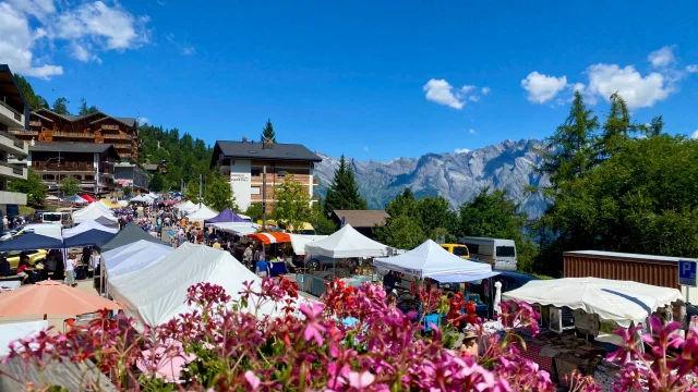 Whatsapp Image 2025 10 25 At 09.16.33