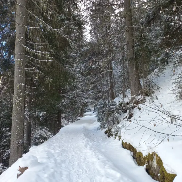 Instagram #latzoumaz