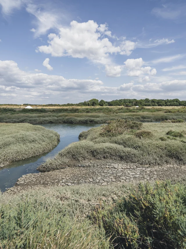 Mesquer - Marais du Mès