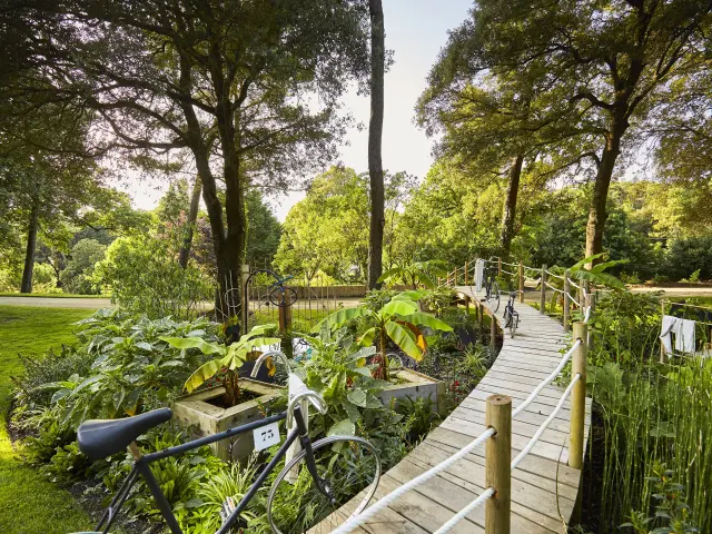 La Baule - Parc des Dryades