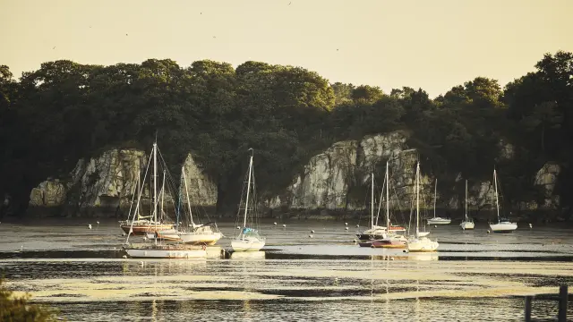 Rives de Vilaine - Camoël
