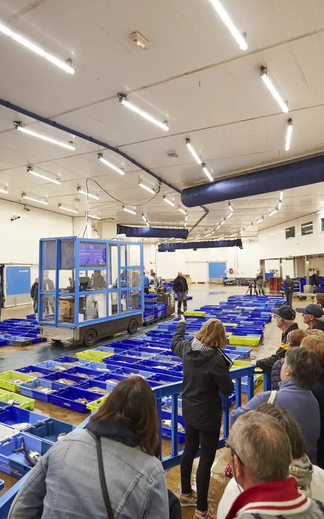 Produits locaux marins à la Criée de la Turballe